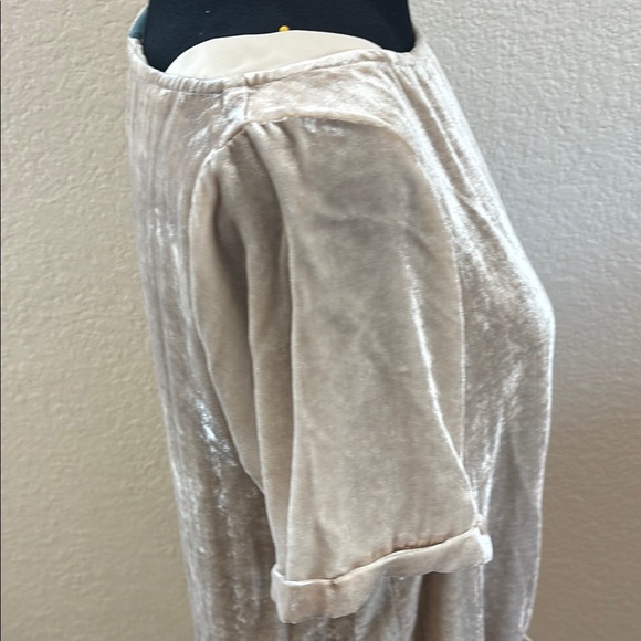 Anthropologie Floreat Crinkle Crushed Velvet Dress Champagne Pockets 0135 - Picture 5 of 9